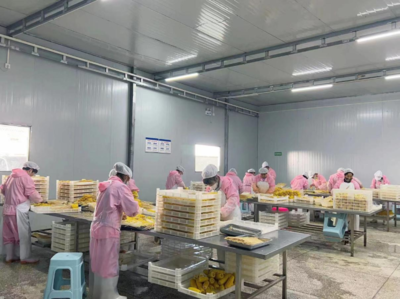 奉节大树镇:发展甜玉米产业 做好"土特产"文章